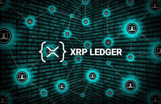 XRP Ledger a hébergé plus de 2 000 jetons en un an, alors que la capitalisation boursière XRP dépasse 20 milliards de dollars