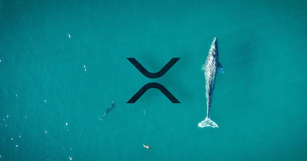 Les 2000 meilleures baleines BSC détiennent désormais plus de 72 millions de XRP d'une valeur de 28 millions de dollars