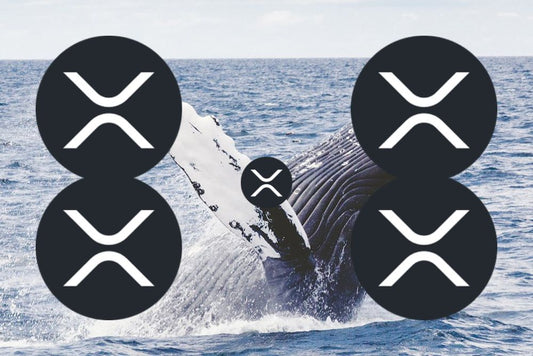 XRP entre dans le top 10 des jetons achetés par les 500 plus grandes baleines BSC