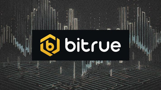 L'ambassadeur Bitrue explique pourquoi le retard de l'ETF Spot BTC de la SEC pourrait être haussier pour XRP